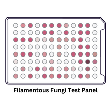 Load image into Gallery viewer, Filamentous Fungi Identification Test Panel