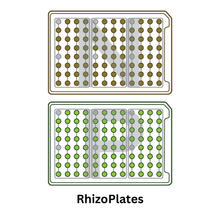 Load image into Gallery viewer, RhizoPlates