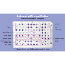 Load image into Gallery viewer, Biolog_Gen3Plate_Anatomy