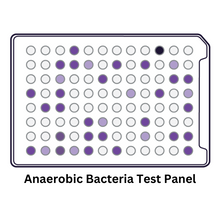 Load image into Gallery viewer, Anaerobic Bacteria Identification Test Panel
