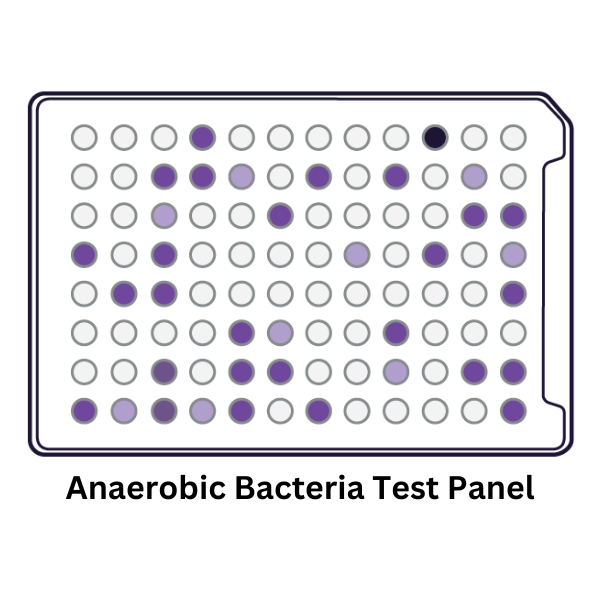 Anaerobic Bacteria Identification Test Panel