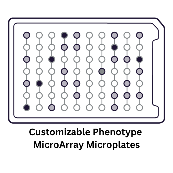 Customizable Phenotype MicroArray Microplates – instrumedshop