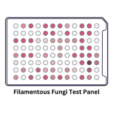 Load image into Gallery viewer, Filamentous Fungi Identification Test Panel
