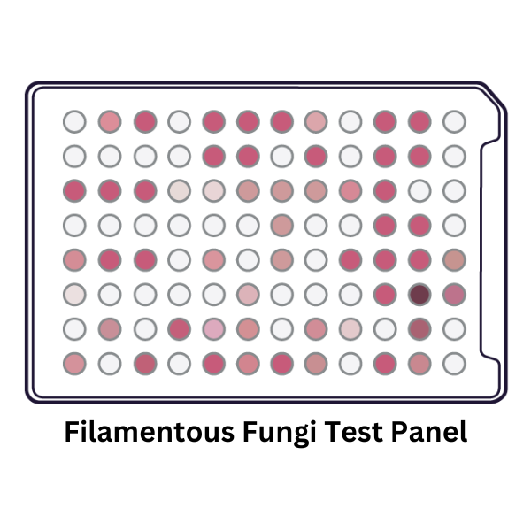 Filamentous Fungi Identification Test Panel