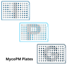 Load image into Gallery viewer, Mycological Phenotype

