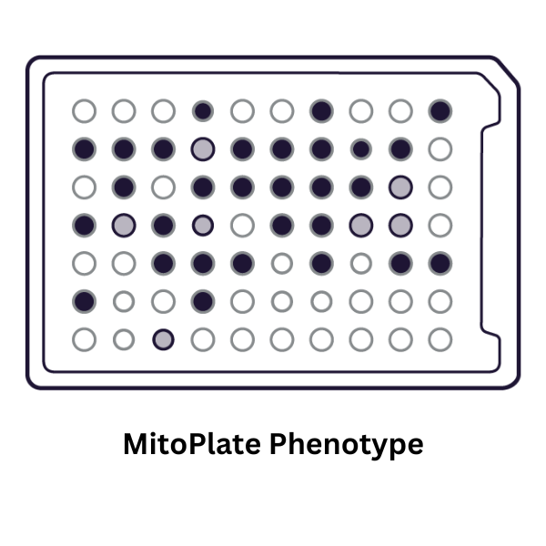 MitoPlate Phenotype