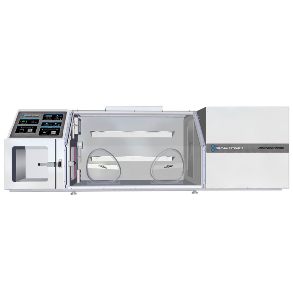 Bactron600 Anaerobic Chamber